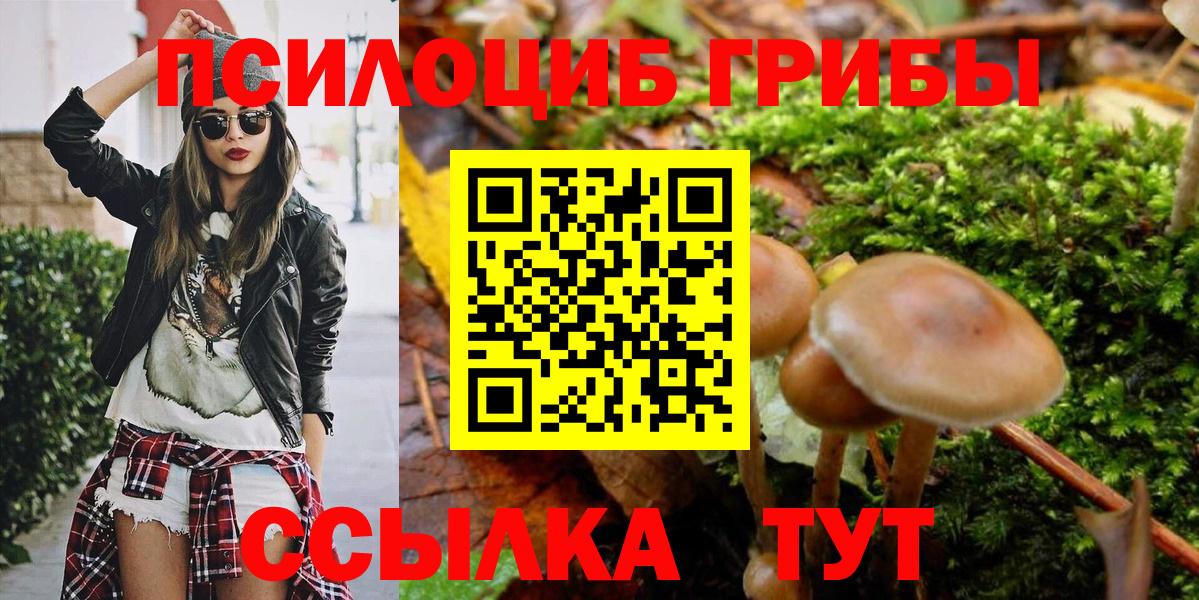 Вязьма  Псилоцибиновые грибы прущие грибы  Вход с VPN 